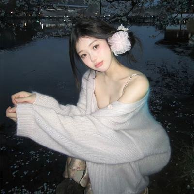 骑着鱼的猫